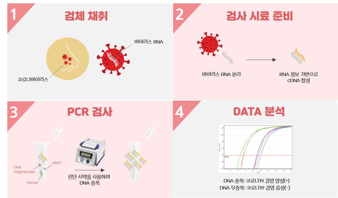 검사 pcr PCR검사 선별진료소