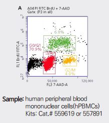 BrdU + 7-AAD Cell Cycle 분석 예시