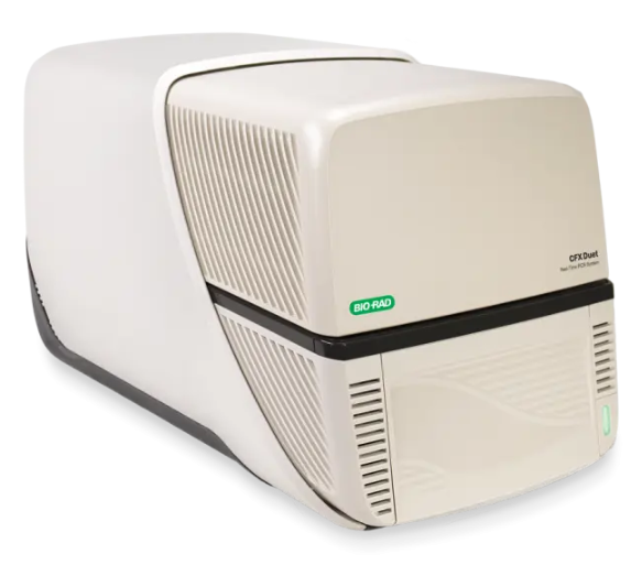 T100 Thermal Cycler