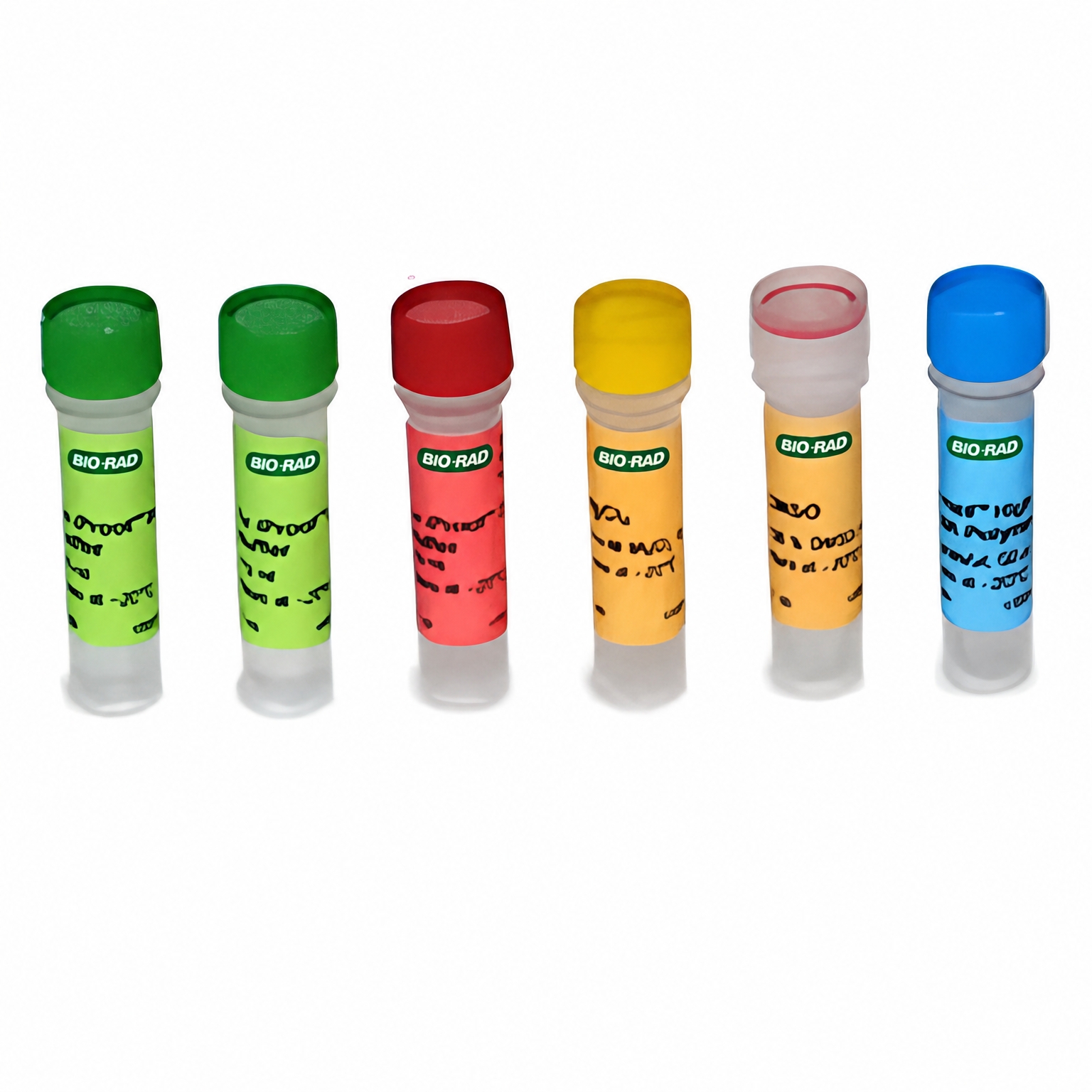 iProof High-Fidelity DNA Polymerase