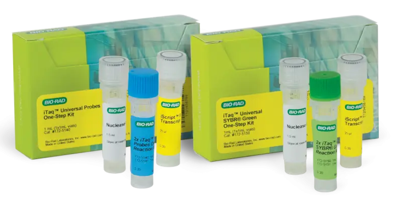 iTaq Universal SYBR Green One-Step Kit