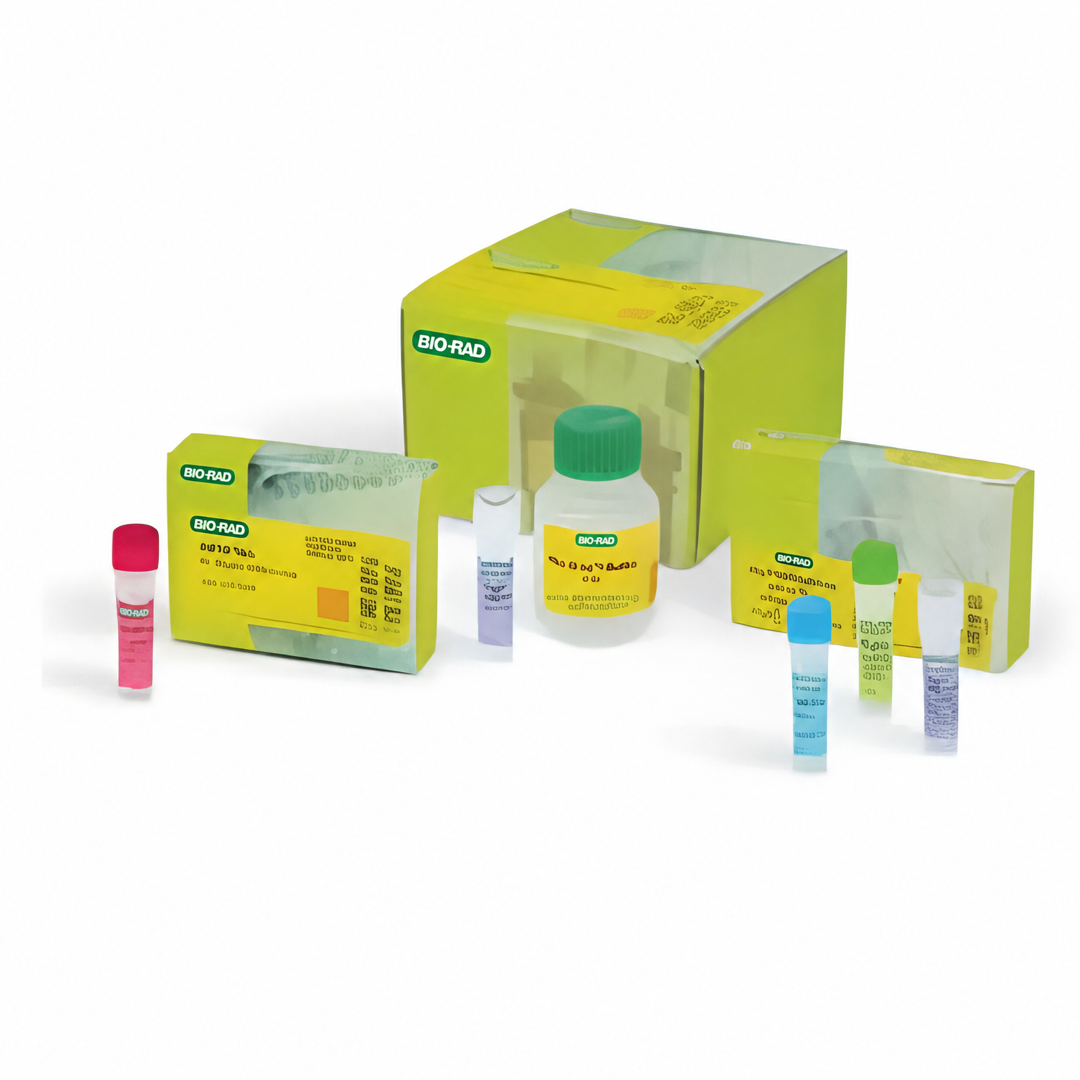 iTaq DNA Polymerase