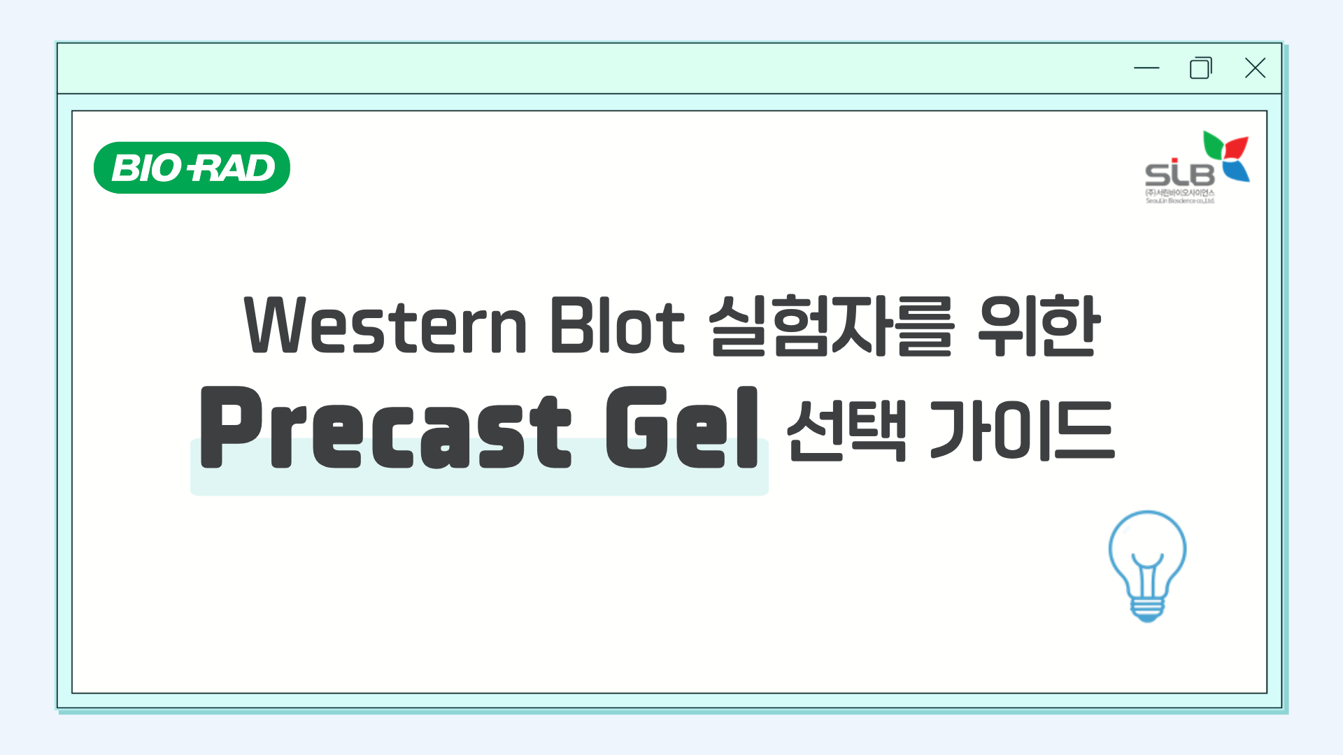 Western blot 실험자를 위한 Precast Gel 선택 가이드