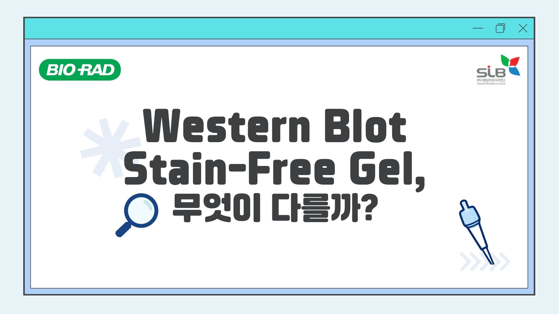 Western Blot Stain-Free Gel