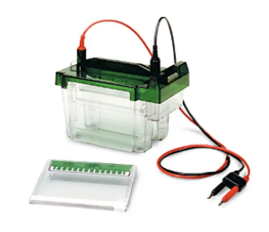SsoAdvanced Universal Probes Supermix