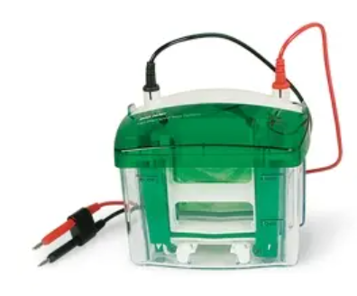 SsoAdvanced Universal SYBR Green Supermix