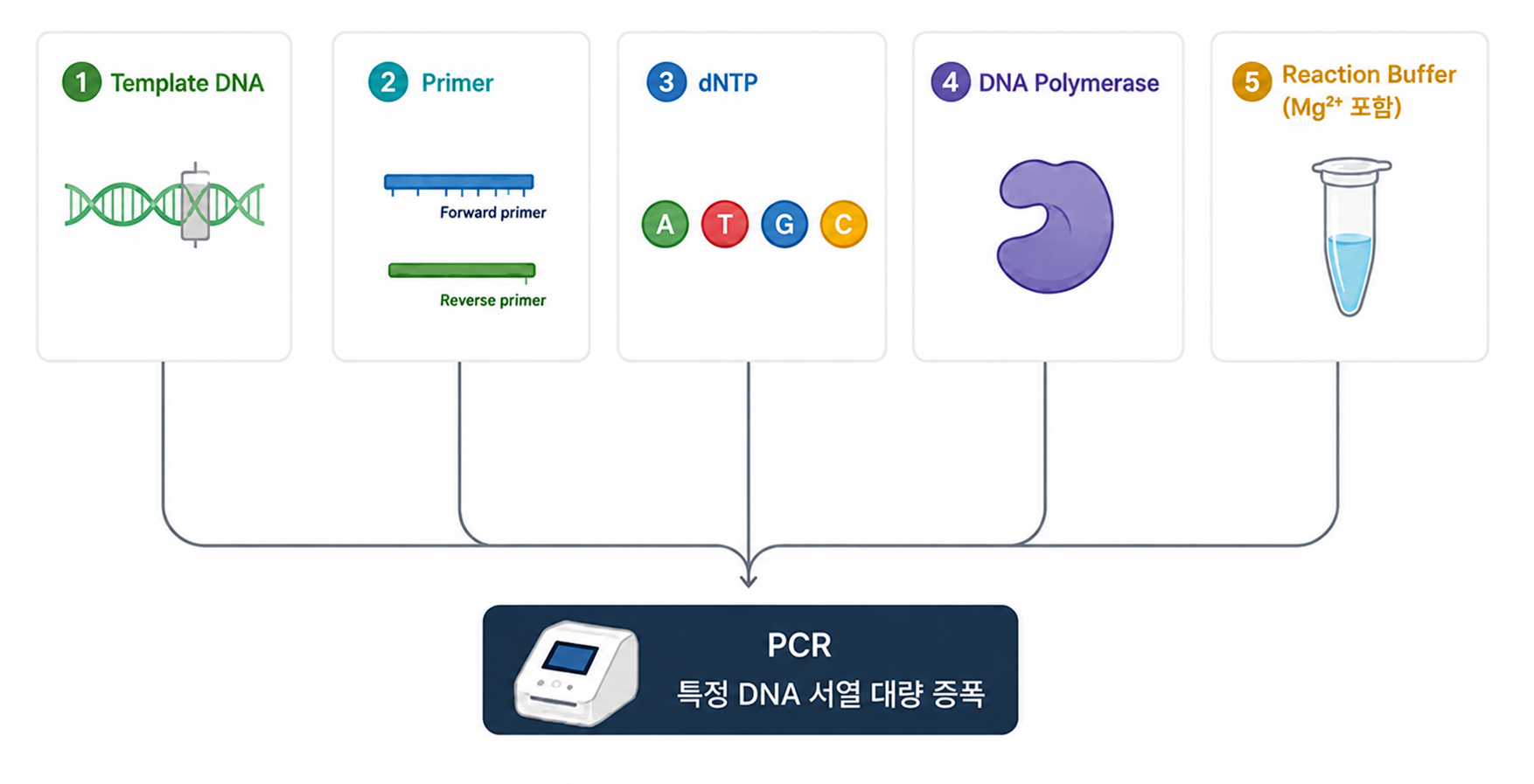 PCR 구성 요소