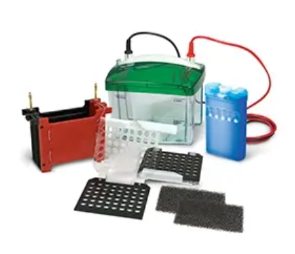 Mini Trans-Blot Electrophoretic Transfer Cell