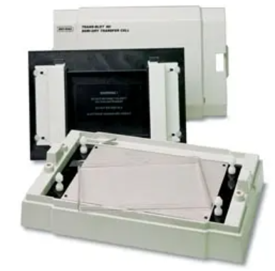 Trans-Blot SD Semi-Dry Electrophoretic Transfer Cell