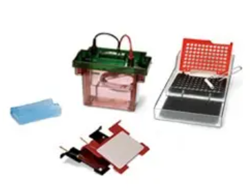 Criterion™ Blotter With Plate Electrodes