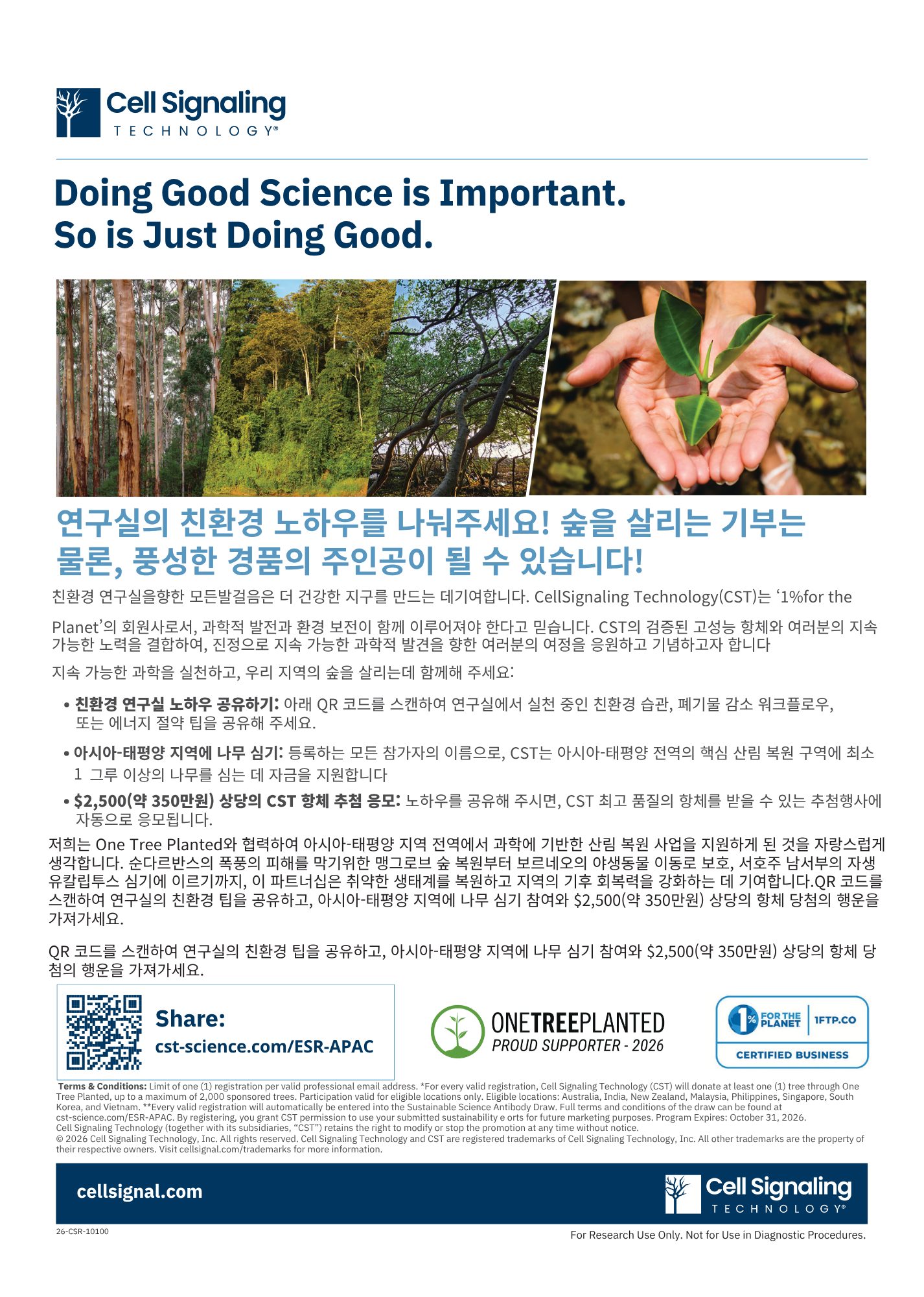 CST 나무 심기 캠페인 홍보지