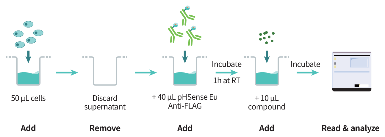 pHSense Typical Workflow