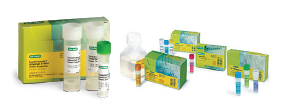 Bio-Rad SsoAdvanced SYBR Green qPCR 시약