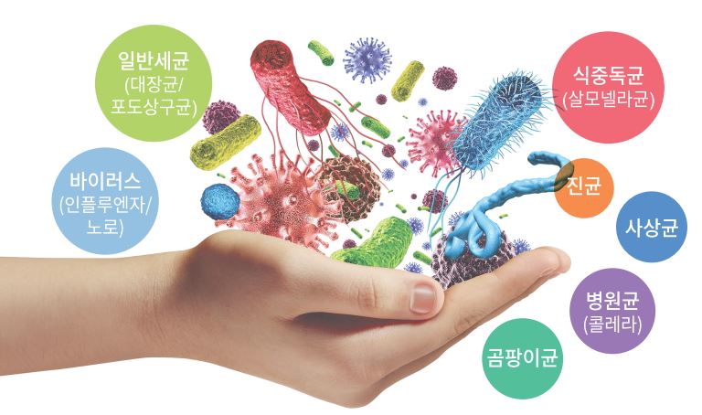 생활방역 / 공간소독 / 셀프면역/감염 질환 예방