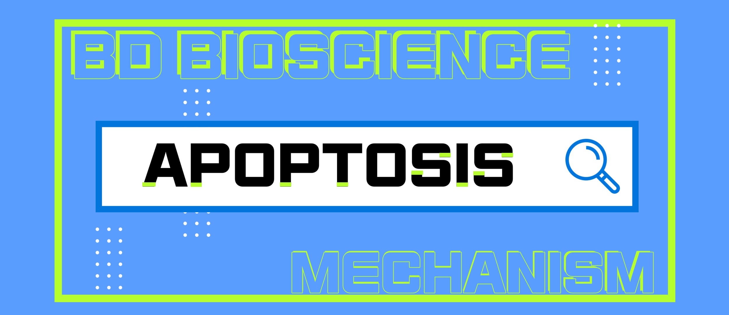 [BD Bioscience] Apoptosis Mechanism관련 제품 - 서린바이오사이언스