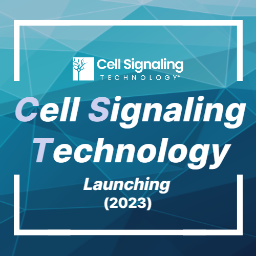[신규브랜드 런칭] Cell Signaling Technology를 서린바이오사이언스에서 만날 수 있습니다. - 서린바이오사이언스