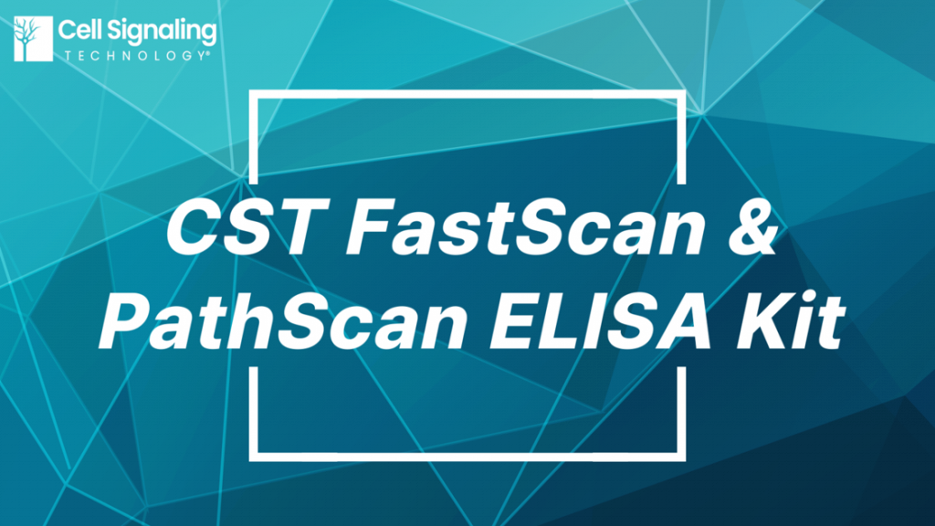 cell-signaling-technology-cst-fastscan-pathscan-elisa-kit