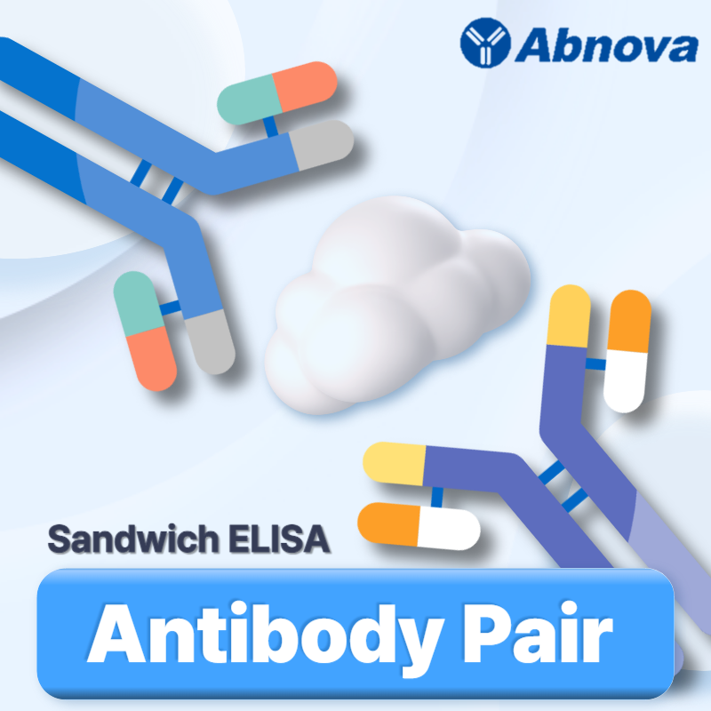 [Abnova] Sandwich ELISA Antibody Pair - 서린바이오사이언스